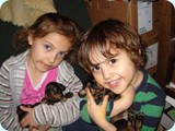 crystalpuppies004