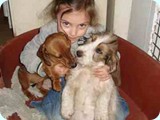 friendsforlife