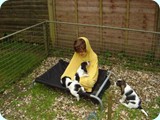 jack_2010_102