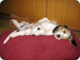 jack_2010_103