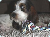 jack_2010_104
