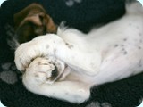 jack_2010_105