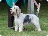 jack_2011_103