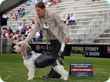 jack_2011_104