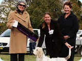 jack_2011_105