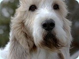 jack_2011_106