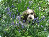 jack_2011_108