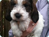 jack_2011_109