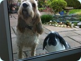 libby & oscar
