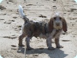 modder_01