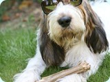 Monty