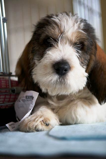 I love kisses and cuddles!